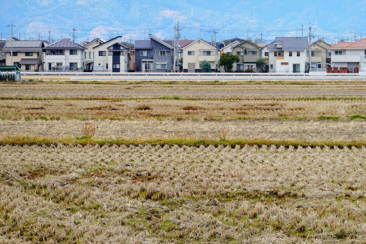 市街化調整区域に分家住宅を建てるための手続きを行政書士が解説